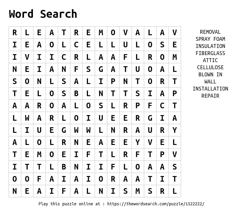 insulation word search